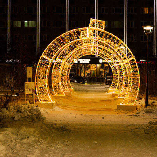 Тоннель светодиодный