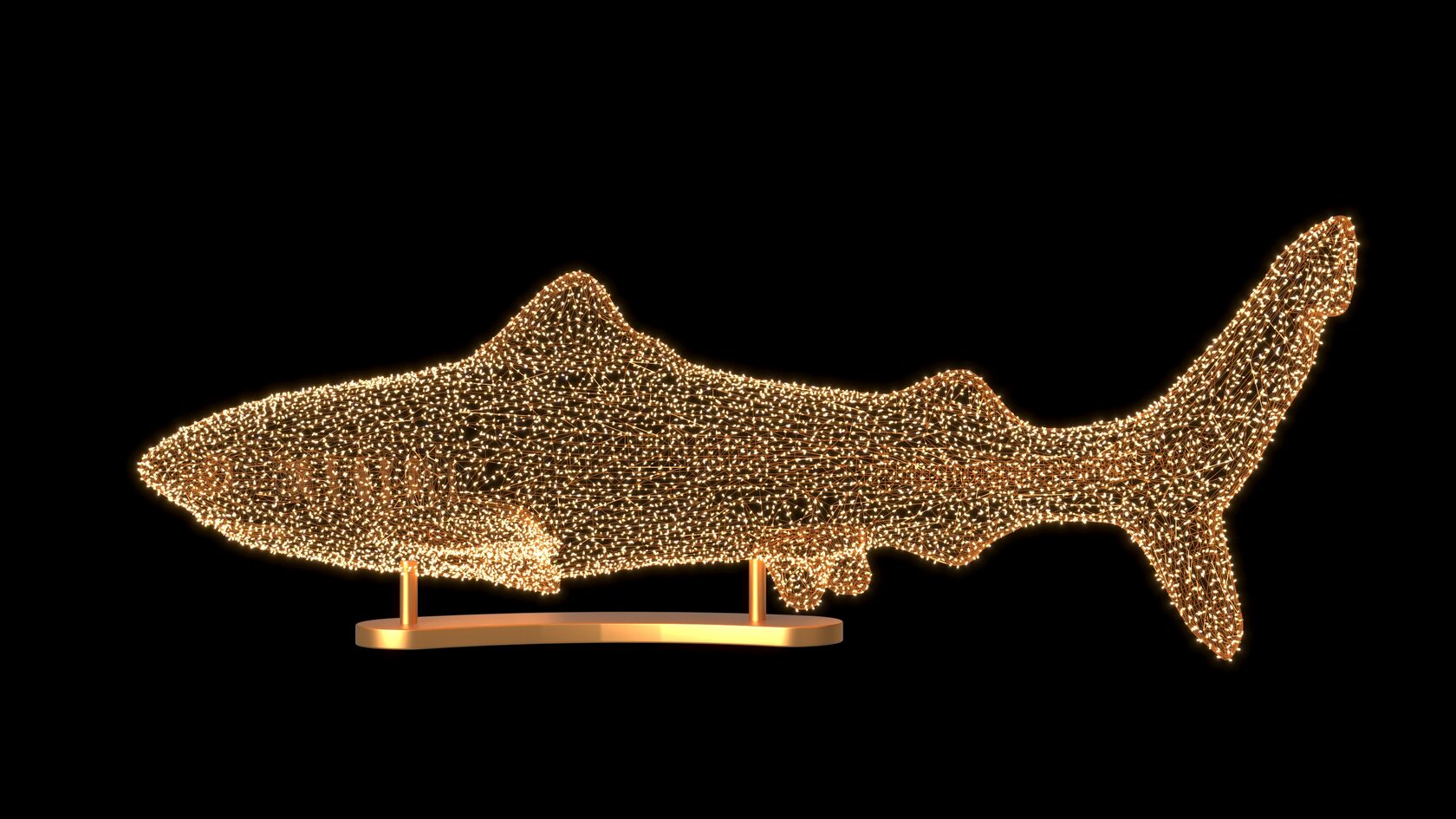 Акула — изображение 3