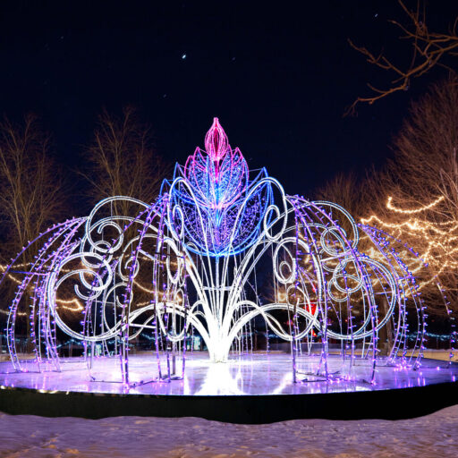 Фонтан светодиодный