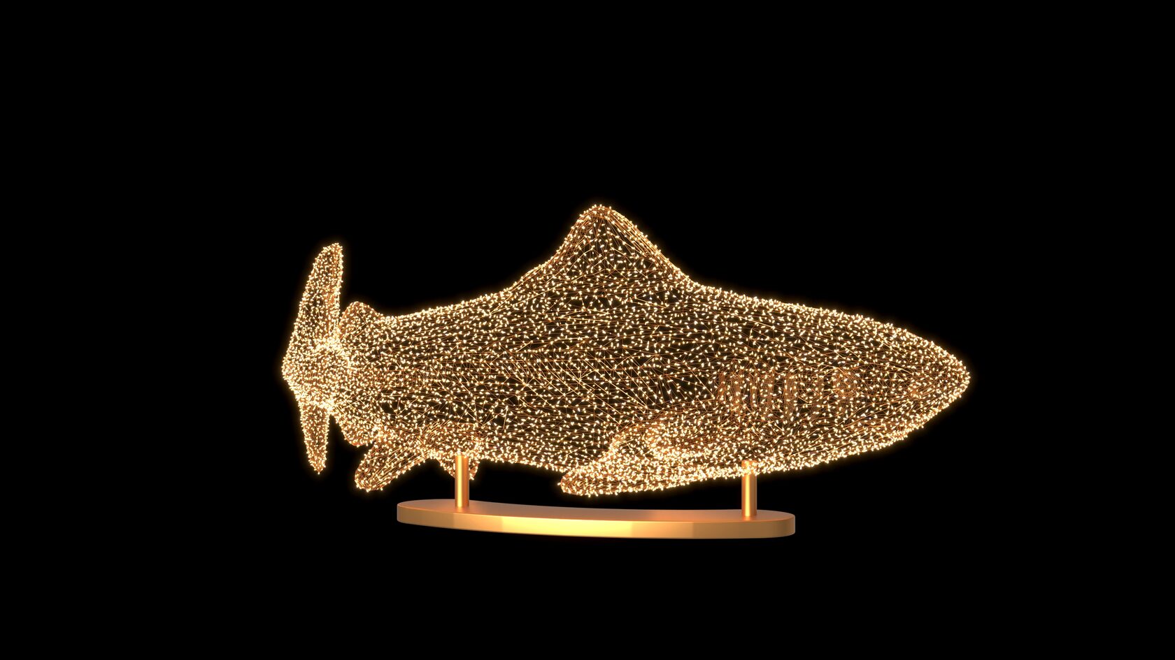 Акула — изображение 2